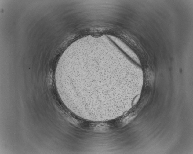 X0000067900463200605111922