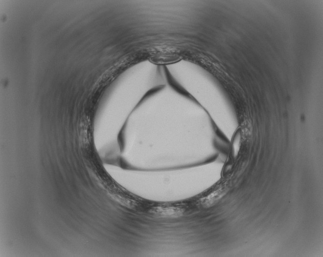 X0000067900464200605111922