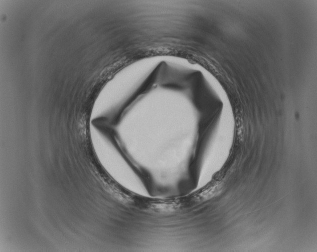 X0000067900466200605111922