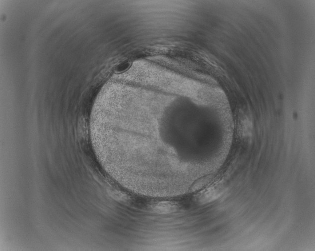 X0000067900467200605111922