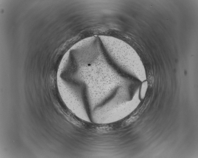 X0000067900468200605111922