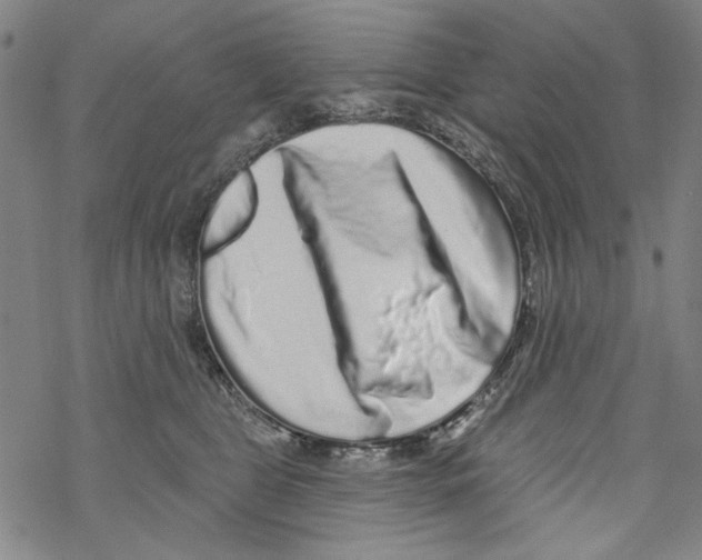 X0000067900469200605111922