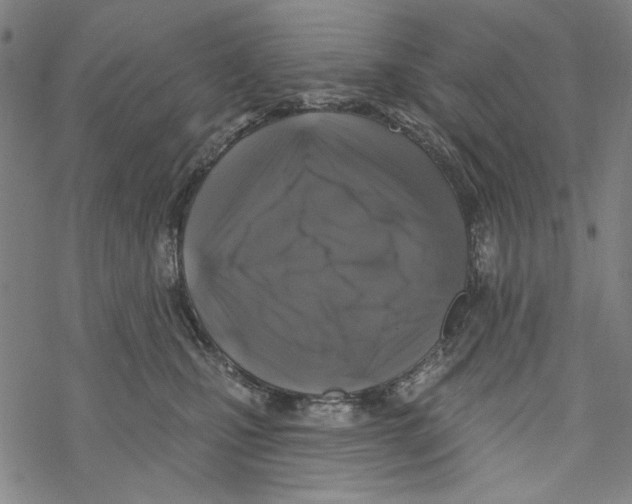 X0000067900471200605111922