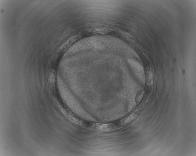 X0000067900472200605111922