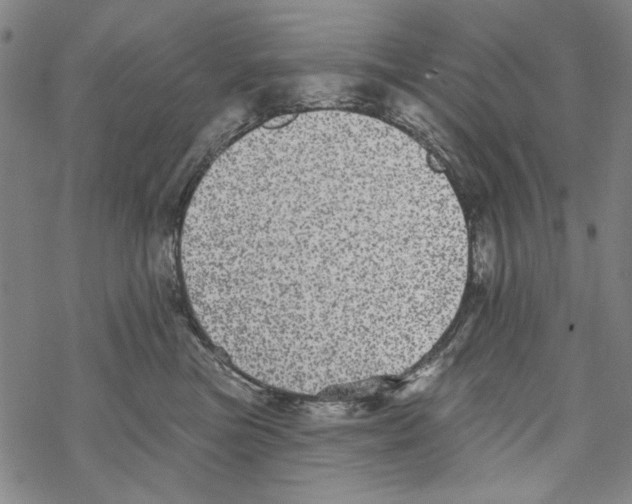 X0000067900473200605111922