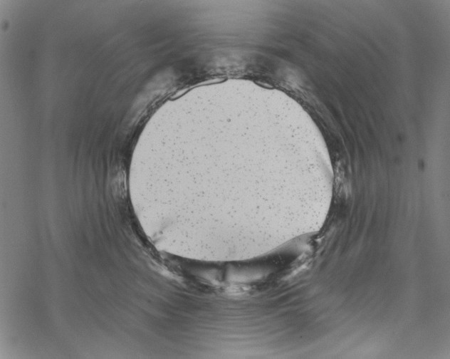 X0000067900474200605111922