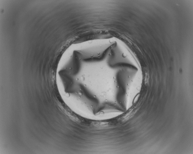 X0000067900476200605111922