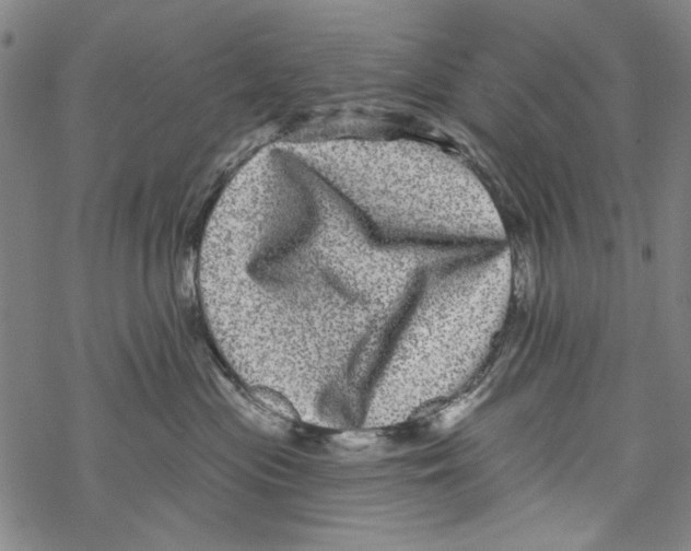 X0000067900477200605111922