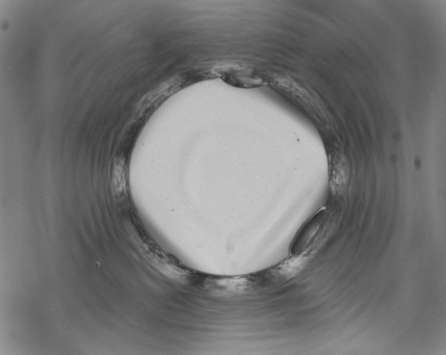 X0000067900478200605111922