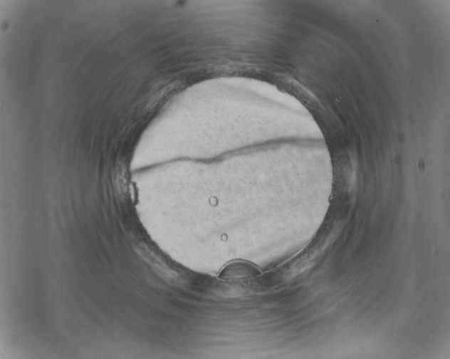 X0000067900479200605111922