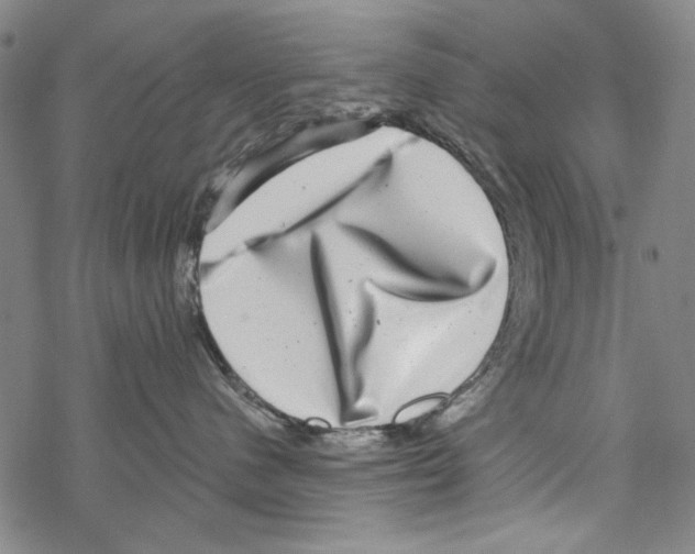 X0000067900480200605111922