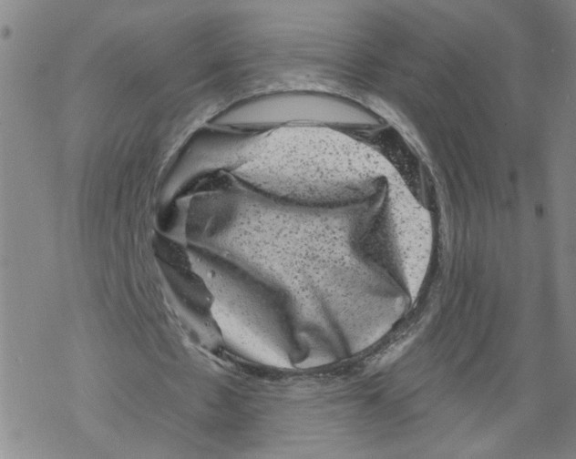 X0000067900481200605111921