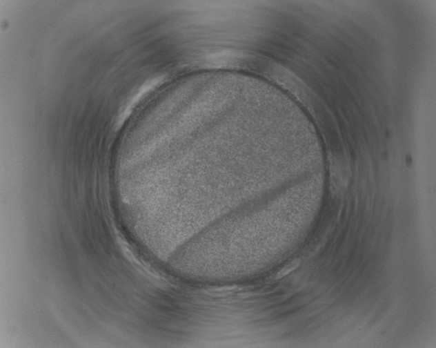 X0000067900482200605111921