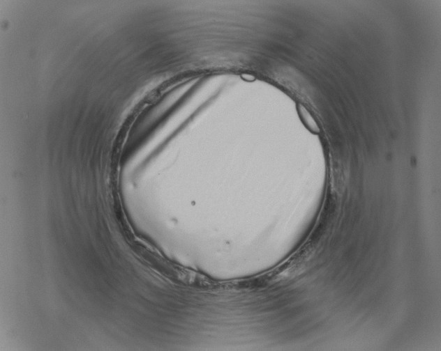 X0000067900483200605111921