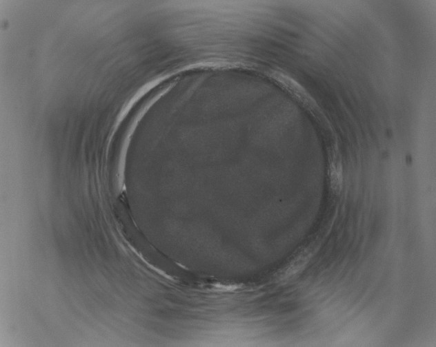 X0000067900484200605111921