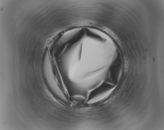 X0000067900485200605111921