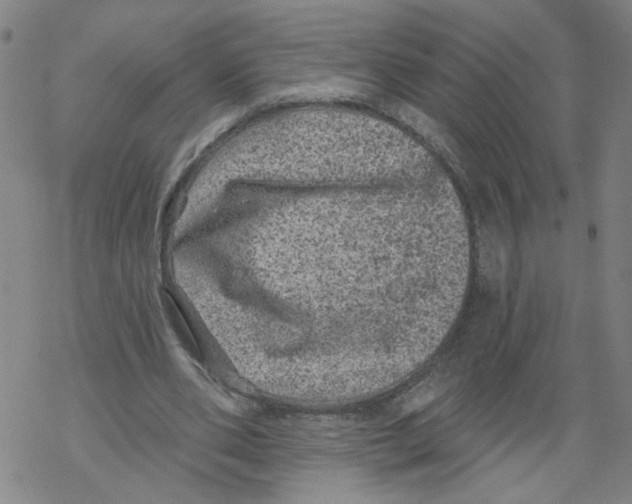 X0000067900486200605111921