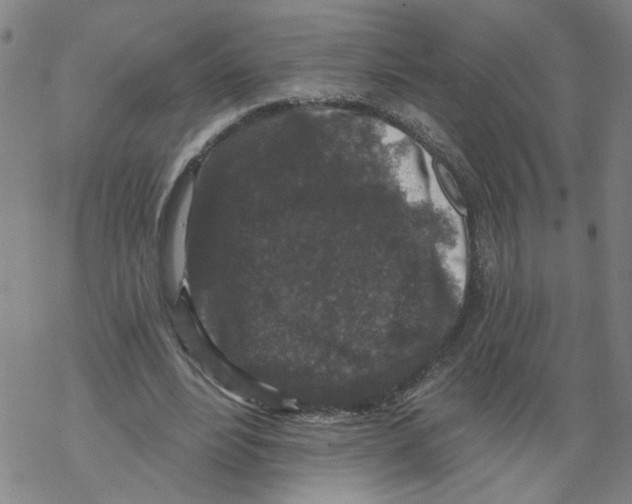 X0000067900488200605111921