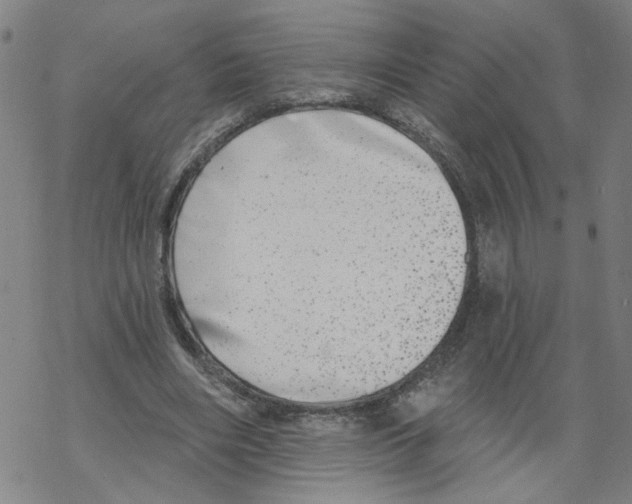 X0000067900490200605111921