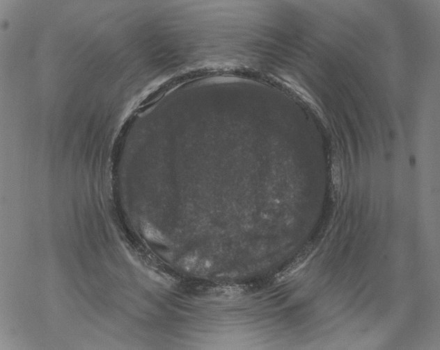 X0000067900492200605111921