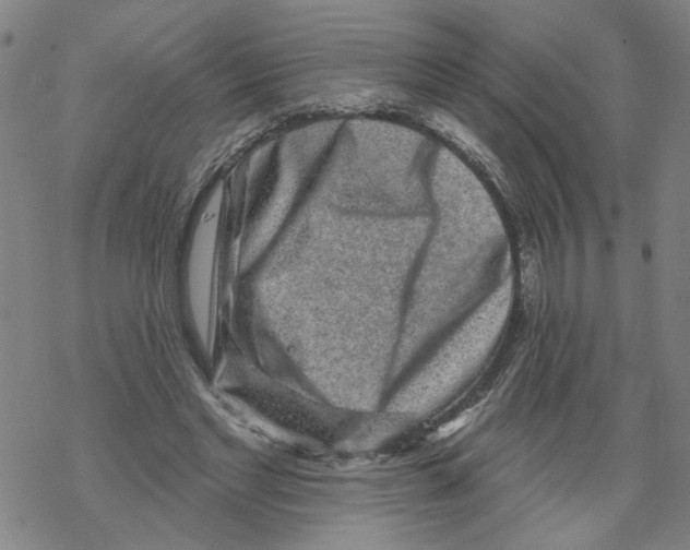 X0000067900493200605111921