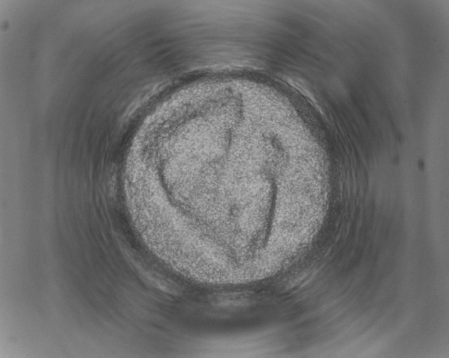 X0000067900495200605111921