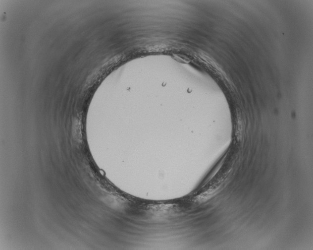 X0000067900497200605111921