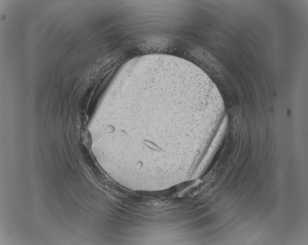 X0000067900498200605111921