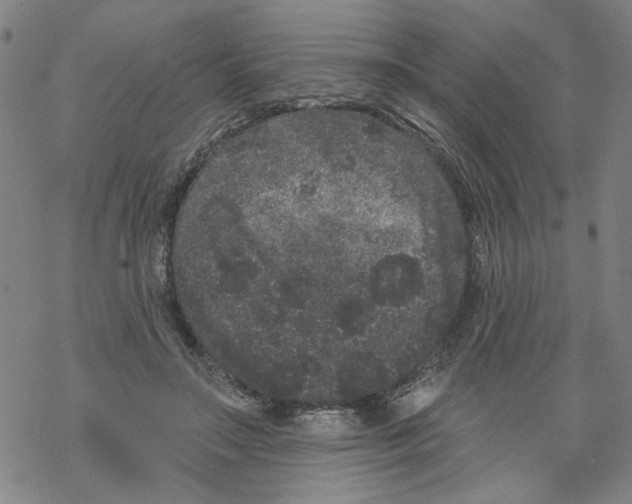 X0000067900499200605111921