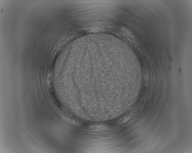 X0000067900503200605111921