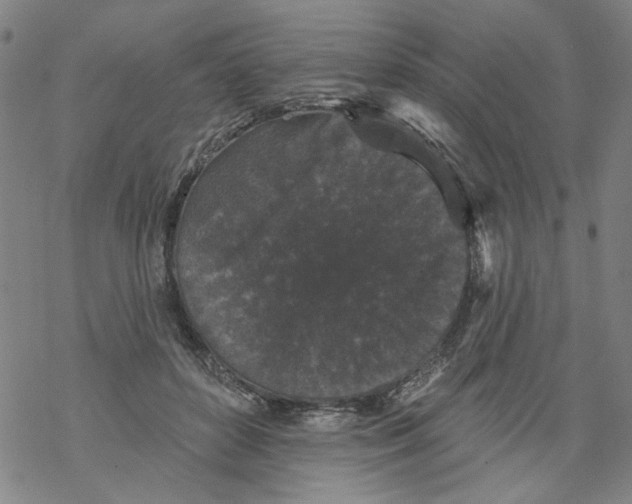 X0000067900504200605111921