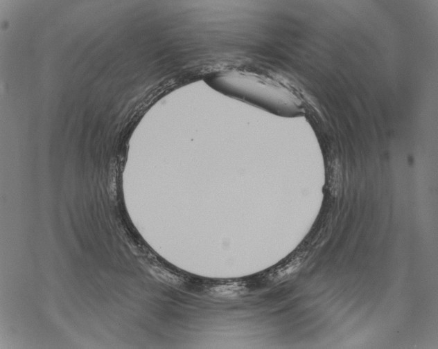 X0000067900505200605111921