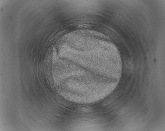 X0000067900506200605111921