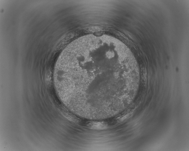 X0000067900507200605111921