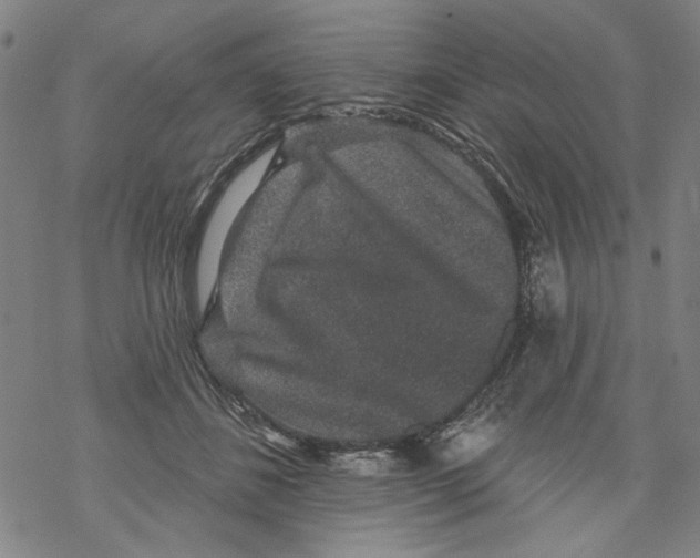 X0000067900508200605111921