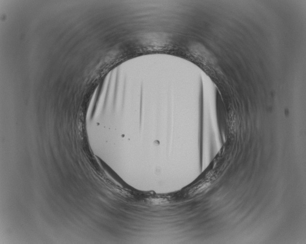 X0000067900509200605111920