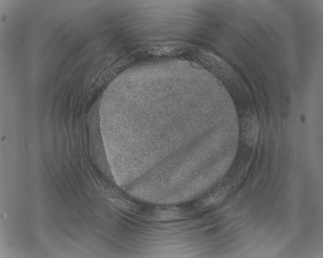 X0000067900510200605111920