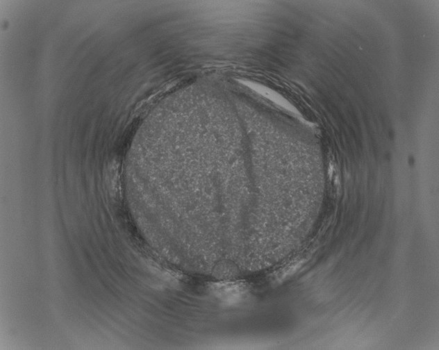 X0000067900511200605111920