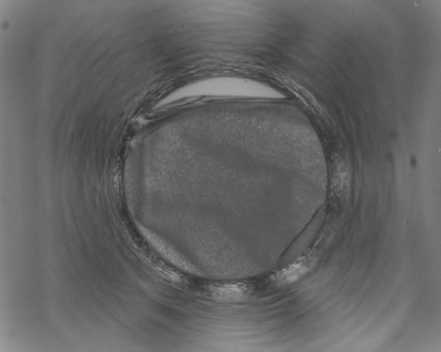 X0000067900513200605111920