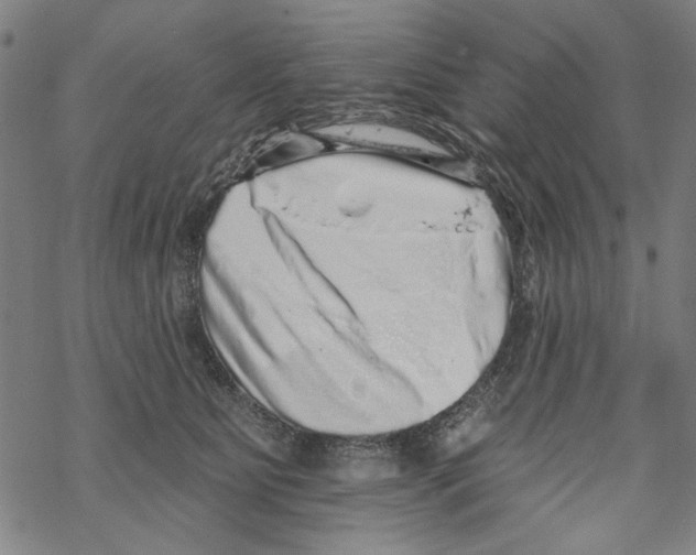 X0000067900515200605111920