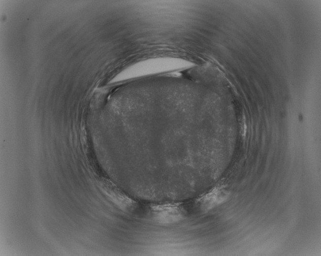 X0000067900516200605111920