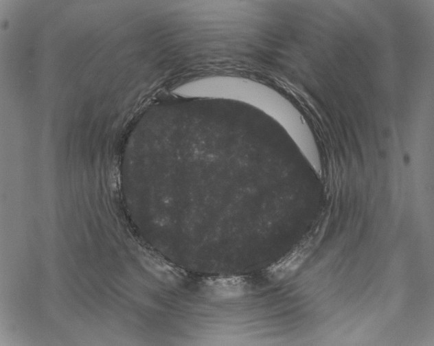 X0000067900517200605111920