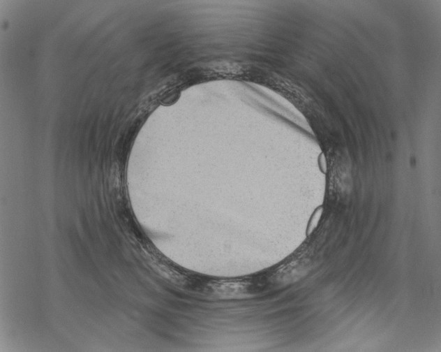 X0000067900518200605111920