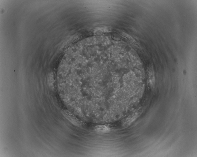 X0000067900519200605111920