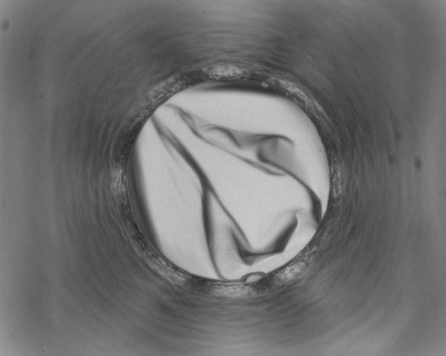 X0000067900521200605111920