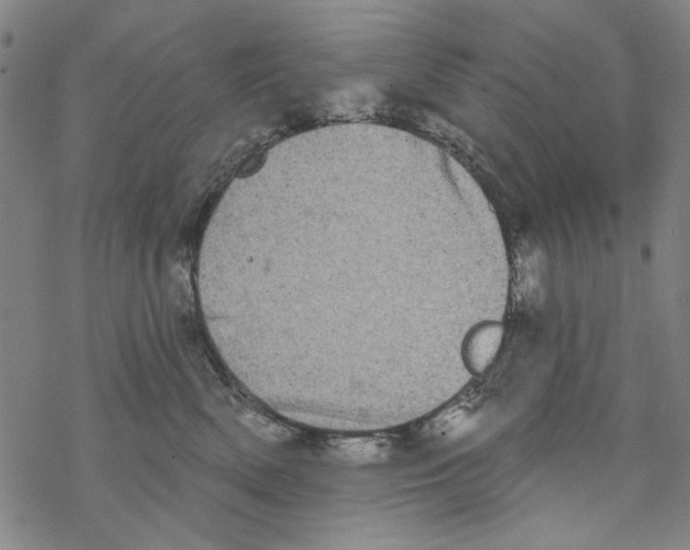 X0000067900522200605111920