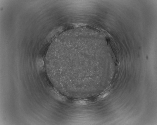 X0000067900523200605111920