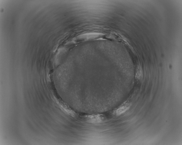 X0000067900524200605111920