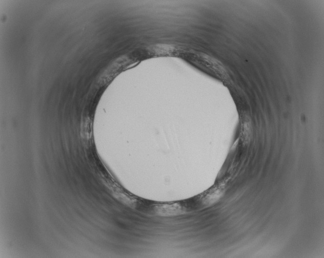 X0000067900525200605111920