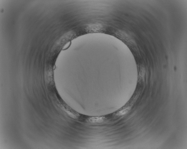 X0000067900526200605111920